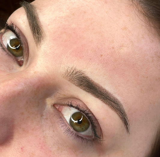 Perfectionnement Shading/Ombre Brow & Microblading