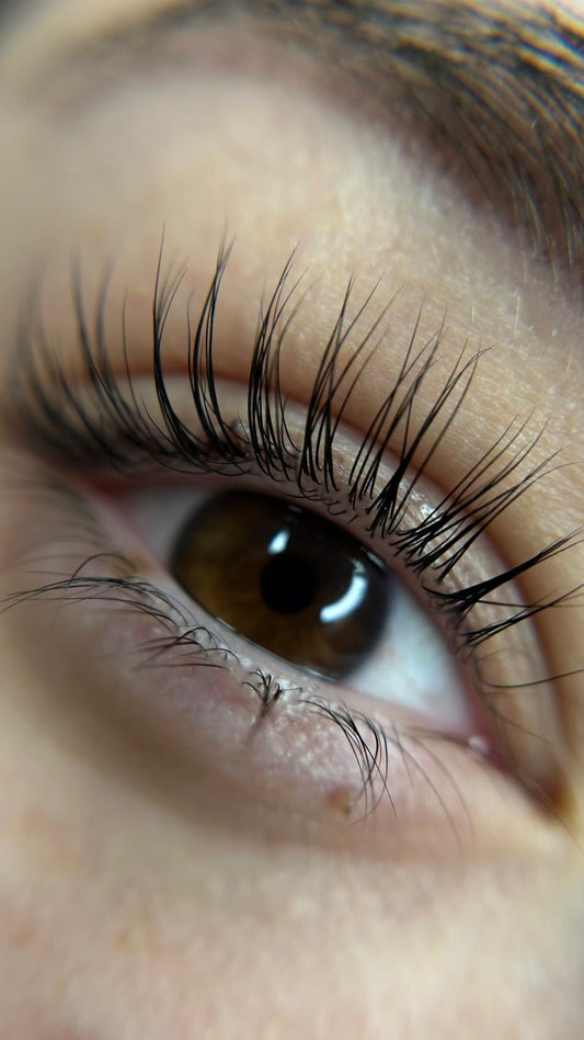 Formation Rehaussement & Coloration des Cils